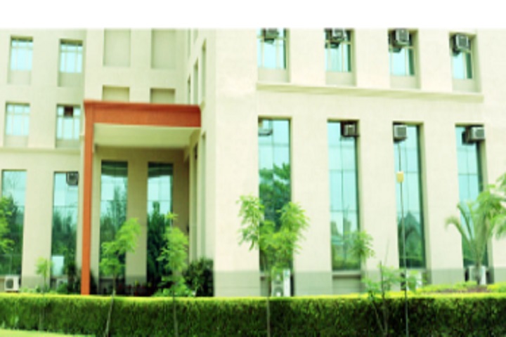 https://cache.careers360.mobi/media/colleges/social-media/media-gallery/30317/2020/5/29/Green Campus view of GL Bajaj Institute of Management Greater Noida_Campus-View.jpg